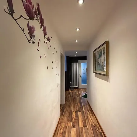 Apartman Nausicaa Velence